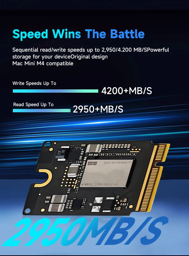 MAC Mini M4 SSD 2TB K6B2 SDSFGKLKH Solid State Drive