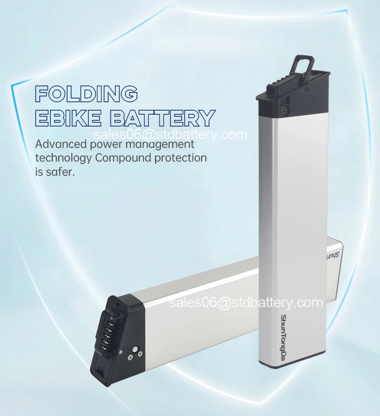 Original Ebike Battery 48V