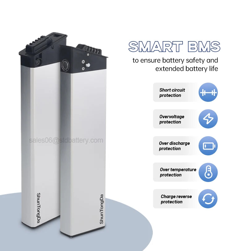 Original Ebike Battery 48V